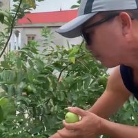 nhạc nền - Tiendung9198