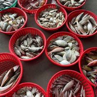 nhạc nền - Nhượng quyền shop mẹ và bé TQ