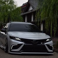 panda_camry78