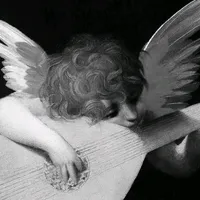 original sound - luiz.wq