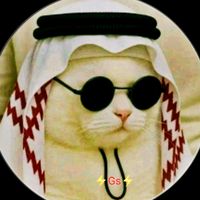 gs.junayed