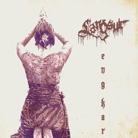 langsuir_official
