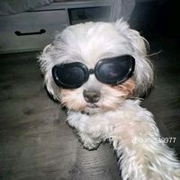 oscarlysramos07ra