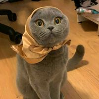 sitorem_17