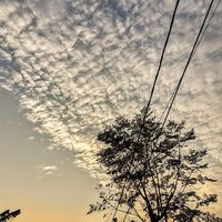 เสียงต้นฉบับ - เพลง