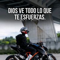 osmar600