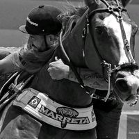 cavalo_marreta.fa.club