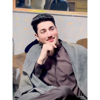 zk_bolty804