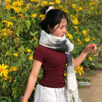 nhạc nền