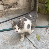 valentina.gmez980