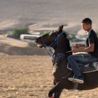 الصوت الأصلي