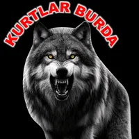 original sound - kurtlar.burda