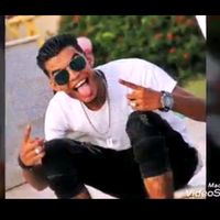 kabos_double_y