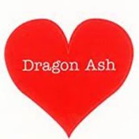 オリジナル楽曲 - Drag on ash