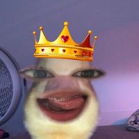 cassiee237
