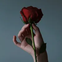 original sound - exitoestoico1