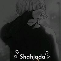 shahjadaahmed09