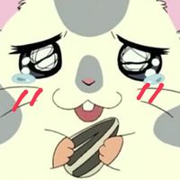 オリジナル楽曲 - にこにこーき!