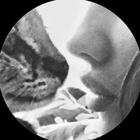 الصوت الأصلي