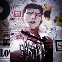 sa_ka_na.com