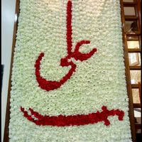 farazdogar46