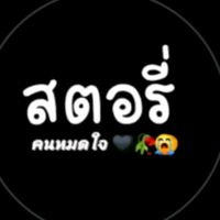 25462519v