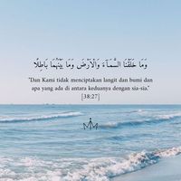 amzasteadyy