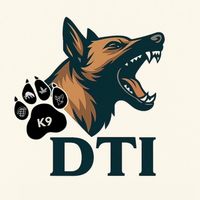 dti_training