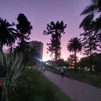inom_30