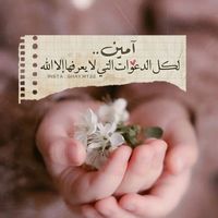 reem__k0