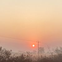 nout_nout3