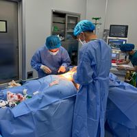 nhạc nền - Doctor Cao Kỳ