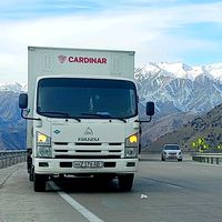 cardinar176