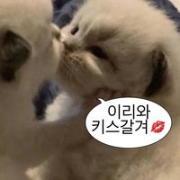 오리지널 사운드 - K-코코당