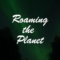 오리지널 사운드 - Roaming The Planet