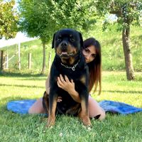 vale.rocky