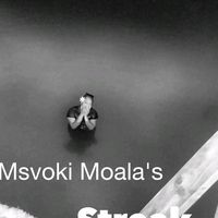 bbev.msvoki
