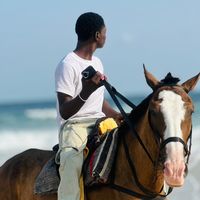 ksmartblog02