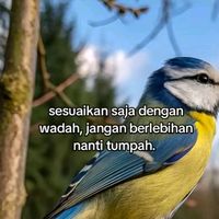 suara asli - PIJAY🤝T_17