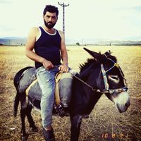 enes._knc