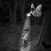 __cmenezes