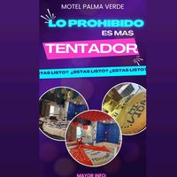 juanpalmaverde