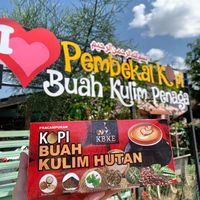 original sound - Pembekal Kopi Buah Kulim