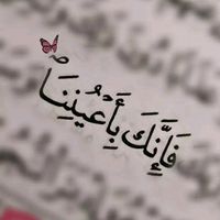 seren_17dz