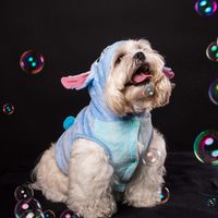 coffee_delight_shihtzu