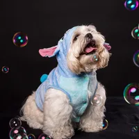 original sound - coffee_delight_shihtzu