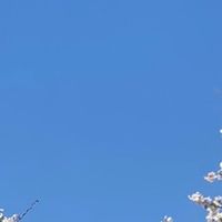 gosa_0311
