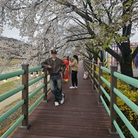 nhạc nền - 하이☆{🇰🇷🇻🇳}