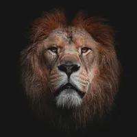 original sound - drclems0