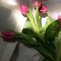 nhạc nền - Ngân Hà🌷